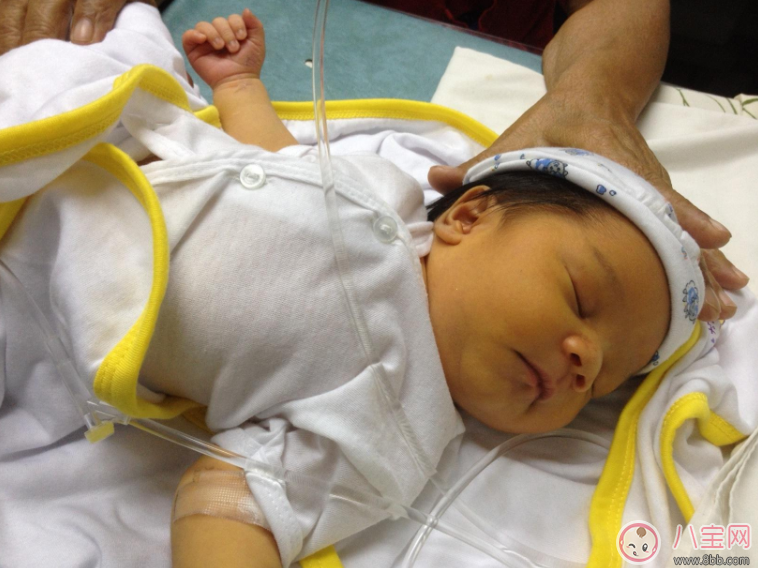 宝宝黄疸可以给他停掉母乳吗 孩子黄疸停母乳吃什么好 宝宝黄疸可以给他停掉母乳吗 孩子黄疸停母乳吃什么好(图3)