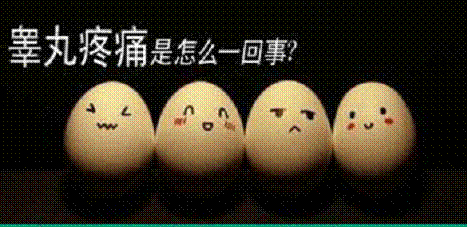 男性睾丸疼痛吃什么药比较好 睾丸疼痛中医疗法 男性睾丸疼痛吃什么药比较好 睾丸疼痛中医疗法(图1)
