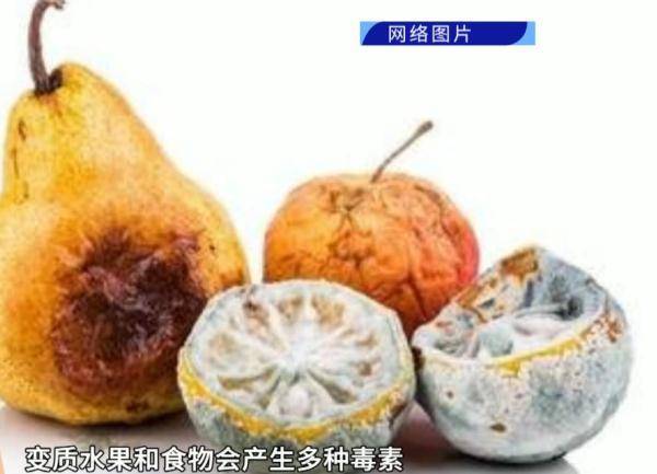 榴莲外壳发黑长毛,店员却说正常吃!医生紧急提醒…… (图6) 榴莲外壳发黑长毛,店员却说正常吃!医生紧急提醒…… (图6)