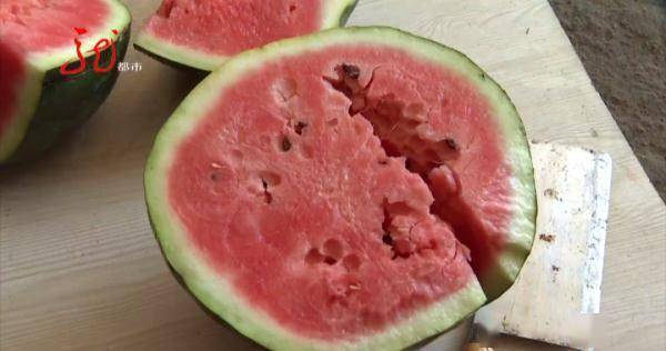 西瓜一切一股水,卖瓜商贩难自夸 ,要找瓜农讨说法 (图13) 西瓜一切一股水,卖瓜商贩难自夸 ,要找瓜农讨说法 (图13)