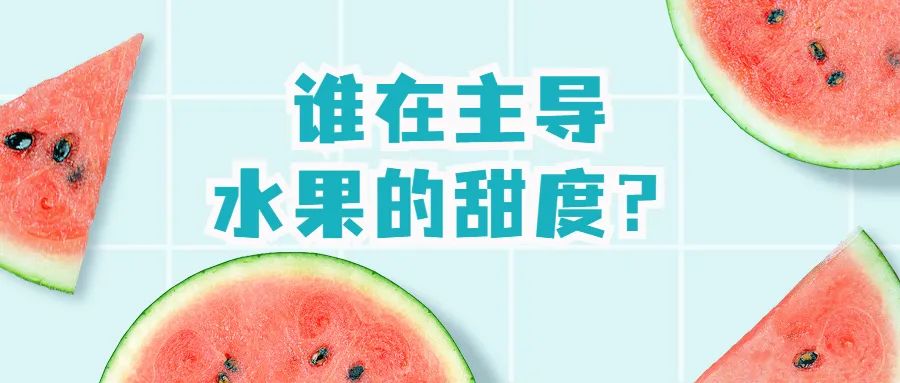 不甜的水果热量低?小心越吃越胖(图2) 不甜的水果热量低?小心越吃越胖(图2)