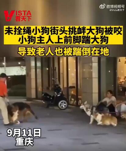 小狗挑衅大狗 男子踹大狗致老人摔倒(图1) 小狗挑衅大狗 男子踹大狗致老人摔倒(图1)