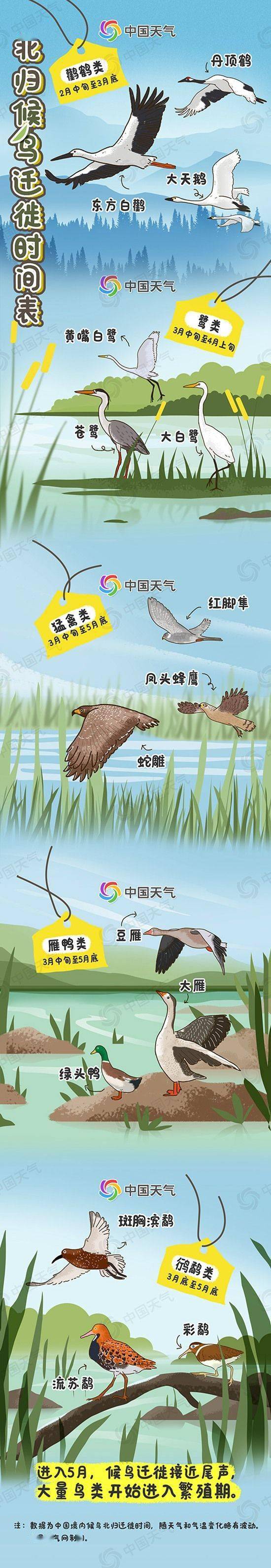 2023春季候鸟观赏地图出炉 这些地方渐入佳期 (图2) 2023春季候鸟观赏地图出炉 这些地方渐入佳期 (图2)