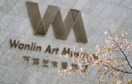 武汉大学发布赏樱政策 网络实名预约是公众入校参观唯一途径 (图3) 武汉大学发布赏樱政策 网络实名预约是公众入校参观唯一途径 (图3)