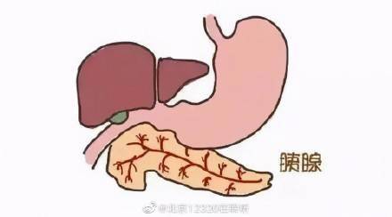 什么是急性胰腺炎?如何预防? (图1) 什么是急性胰腺炎?如何预防? (图1)