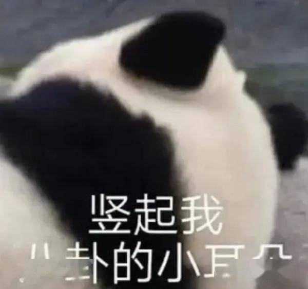 夫妻档小吃摊日收近万元?网友酸了!面对质疑,摊主算了一笔账 (图1) 夫妻档小吃摊日收近万元?网友酸了!面对质疑,摊主算了一笔账 (图1)