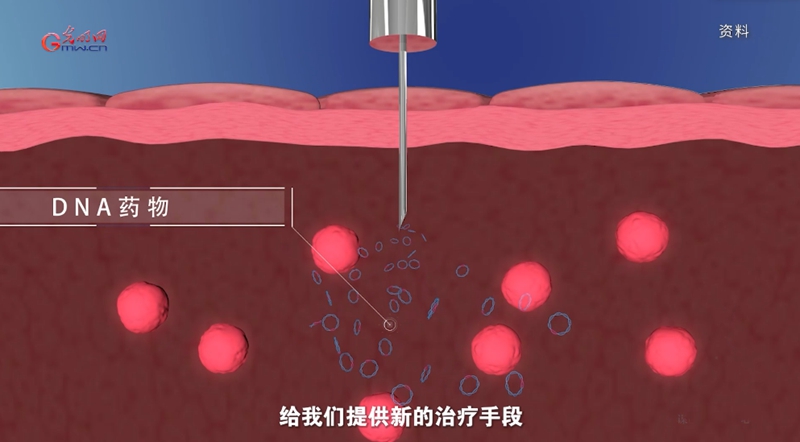宫颈癌消灭战:如何减少“梅艳芳式悲剧”? 宫颈癌消灭战:如何减少“梅艳芳式悲剧”?(图7)