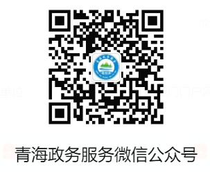 青松办APP官方下载入口https://www.qhzwfw.gov.cn/(图2) 青松办APP官方下载入口www.qhzwfw.gov.cn/(图2)