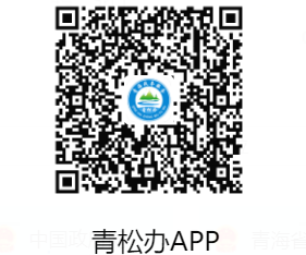 青松办APP官方下载入口https://www.qhzwfw.gov.cn/(图3) 青松办APP官方下载入口www.qhzwfw.gov.cn/(图3)