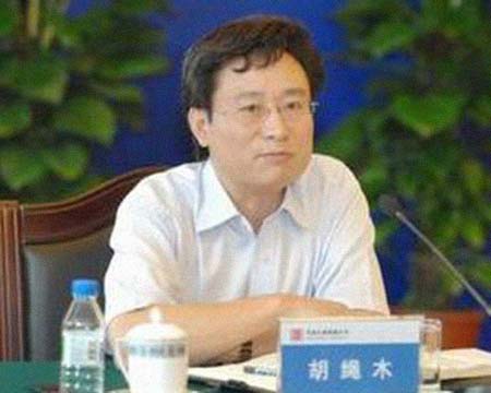 胡绳木 简历图片 胡绳木 简历 - 名人简历(图1)
