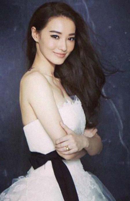 郑云灿 简历图片 郑云灿(欧弟妻子) 简历 - 名人简历(图1)